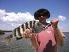 Big_Sheepshead_Alex_Dolinski.JPG