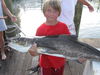 Big_cobia_caught_by_Cody_Lawson_on_the_Catch_My_Drift.JPG