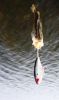 Bishop_Harbor_003.JPG