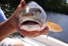 Bishop_Harbor_007.JPG