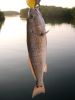 Bishop_Harbor_009.JPG