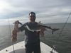 Black_Tips_Shark_Fishing_Tampa_Florida_in_January.JPG
