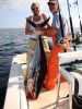Blackfin_Tuna_011.JPG