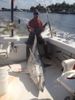 Bobby_with_a_monster_mako_shark_caught_with_New_Lattitude_Sportfishing.jpg