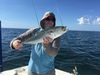 Bonita_and_King_Mackerel_with_Black_Tip_Sharks.jpg