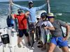 Bonito-and-kingfish-IMG_0613.jpg