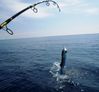 Brad_Mar_21_2014_51.JPG