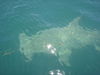 Bradenton_Baby_Shower_047.jpg