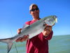 Bud_and_marys_dec_4_2011_2991bluefish.JPG