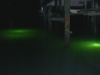 Bull_Red_Dock_Lights_002.JPG
