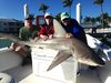 Bull_Shark_2_Jimmy_Burnsed_12-14-13.jpeg