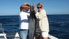 CABO_11-12-08_008.JPG