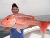 Cameron_Red_Snapper.jpg