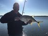 Canal_Tuna_in_Tampa_Florida_fishing_in_January.JPG