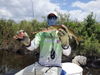 Capt_A_n_pickerel_n_Rapala.jpg