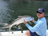 Capt_Alans_Tarpon_2.jpg