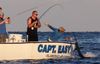 Captain_Easy_Islamorada_sailfish_9.JPG