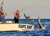 Captain_Easy_Islamorada_sailfish_Florida_Keys_charters.JPG