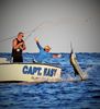 Captain_Easy_Islamorada_sailfish_Florida_keys_deep_sea.JPG