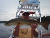 Charter_pics_July_2009_0052.jpg