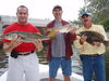 Charter_pics_July_2009_0071.jpg