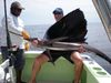 Chip_smith_Sail.JPG