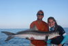 Cobia1.jpg