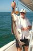 Cobia_2009_001.JPG