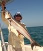 Cobia_2009_008.JPG