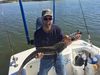 Cobia_4-8_fish_per_trip_in_Tampa_Florida.JPG