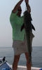 Cobia_Mike_RS1.jpg