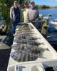 Crystal_River_Fishing_Report_Sheepshead.jpg