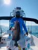 Crystal_River_Grouper_Fishing_Report_Florida.jpg