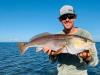 Crystal_River_Redfish.jpg