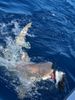 D2F1E715_E387_4164_B284_D5A6B7587AB0.JPG