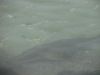 DSC06774.JPG