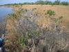 DSCF0803.JPG