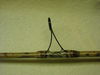 DSCN0573.JPG