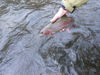 DSCN4630.JPG