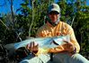 DSC_0004M.JPG