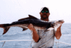 Dave_cobia-pic.GIF