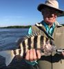 December_2017_KenSheepshead.jpg