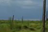 Deer_Island_Looking_South_2_.JPG