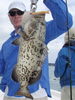 Don_n_a_nice_gag_grouper.jpg