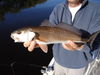 Double_D_Redfish_007.JPG