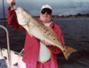 Fall-River-Red-2.gif