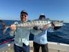 February_2026_Wahoo.jpeg