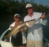 February_snook_Jill_Dyer.jpg