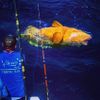 Fishing_Islamorada_goliath_grouper.jpg