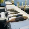 Fishing_Report_Cedar_Key_High_Octane_Fishing_LLC.jpg